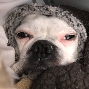 Meet your Posher, Kyle